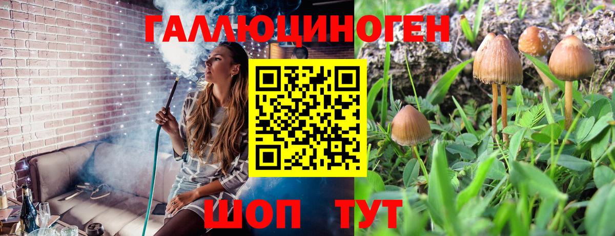Галлюциногенные грибы Magic Shrooms Бахчисарай