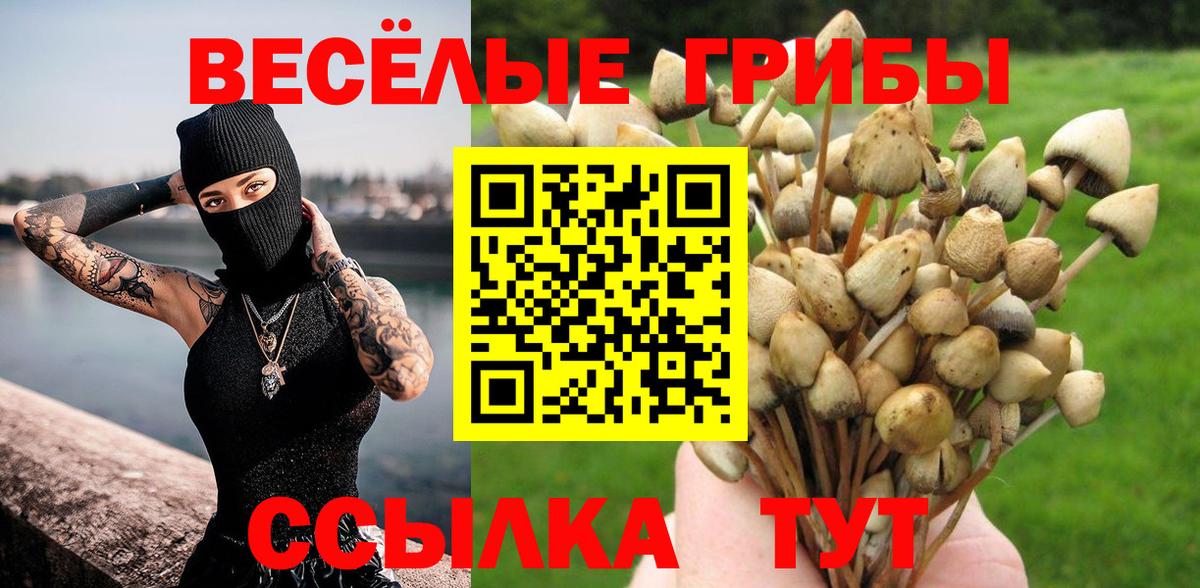 Бахчисарай  Галлюциногенные грибы Cubensis  Вход с VPN 